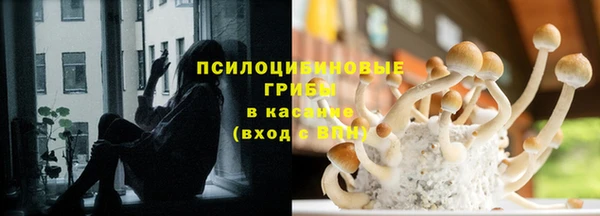 spice Арсеньев