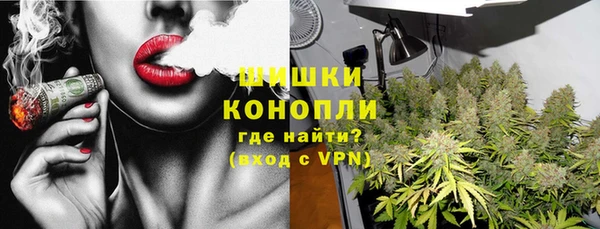 spice Арсеньев